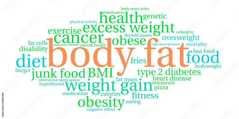 Fototapeta premium Body Fat Word Cloud on a white background. 