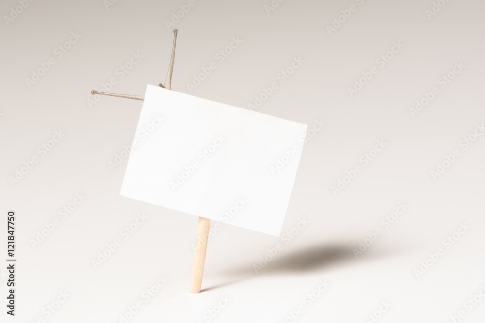 Snail with white board Snail with white board