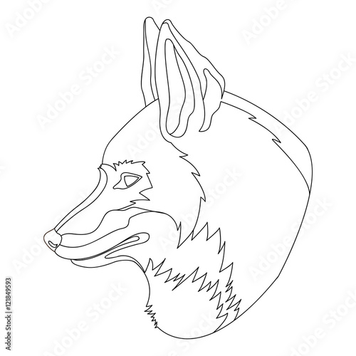 Fox head vector illustration  coloring book