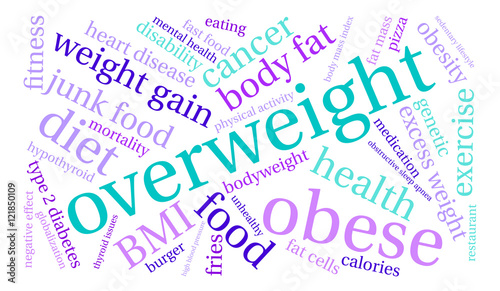 Overweight Word Cloud