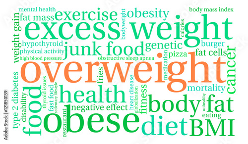 Overweight Word Cloud