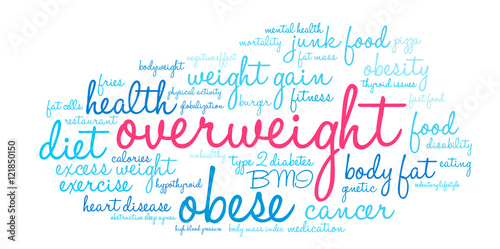 Overweight Word Cloud