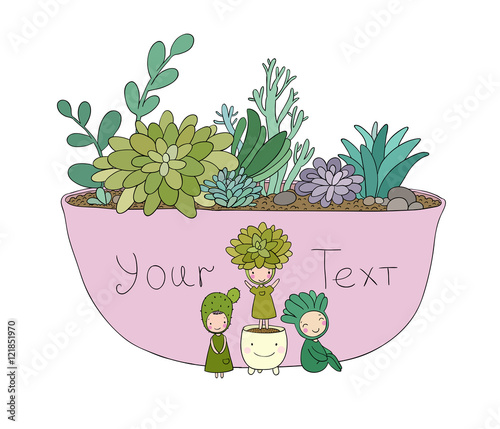 Beautiful succulents in pot. Little fairy.