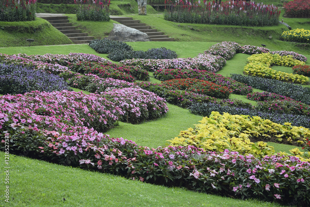 Obraz premium Colorful Flower Garden Outdoor