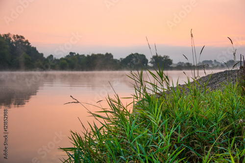 Nebel an der Donau