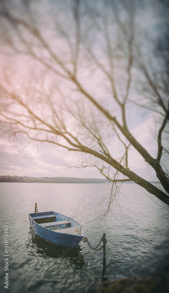 Moored boat on lake shore near tree branches no leaves. Dreamy picturesque scene. Tilt shift effect.