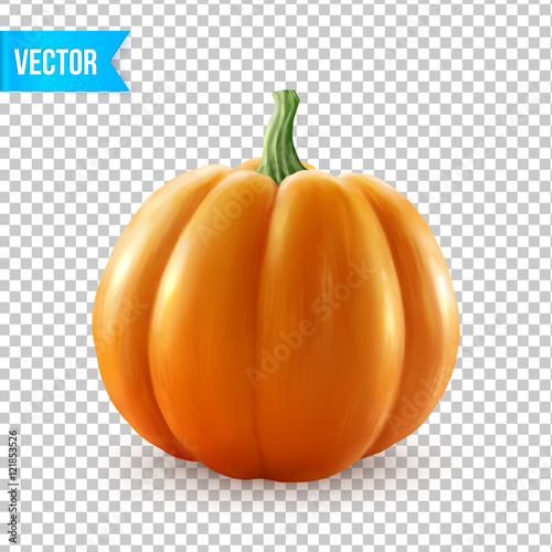 Canvastavla Realistic vector pumpkin isolated on transparency grid background