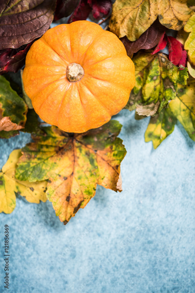 Autumnal colorful vibrant background