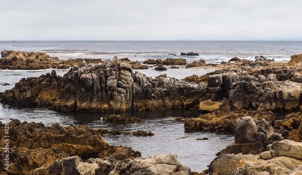 Pacific Grove shore Pacific Grove shore