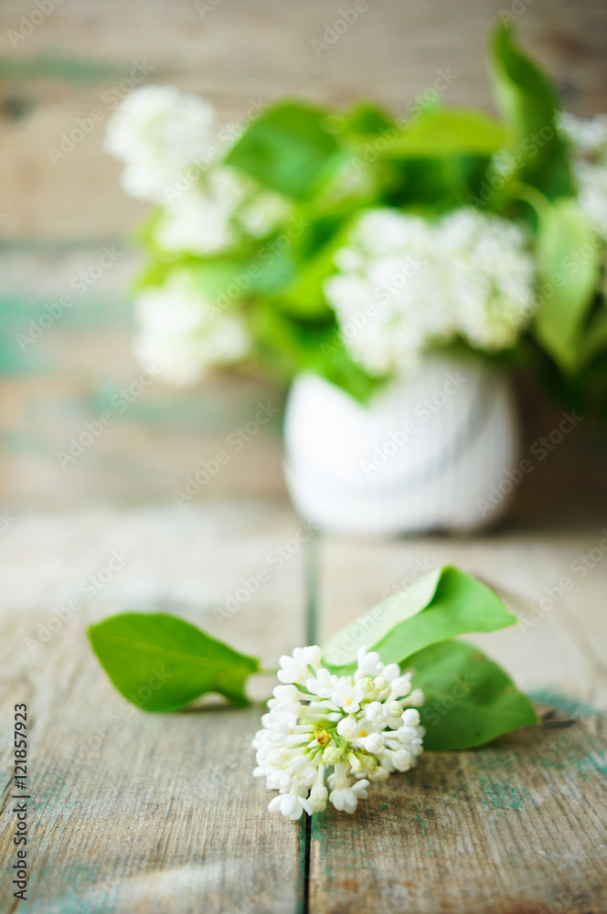 White lilac flowers