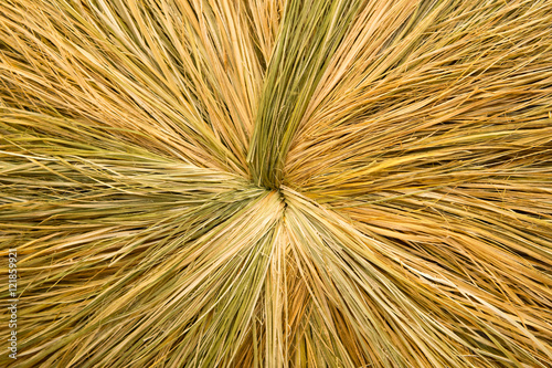 dried straw or hay background