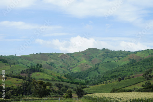 View of tropical forest mountains