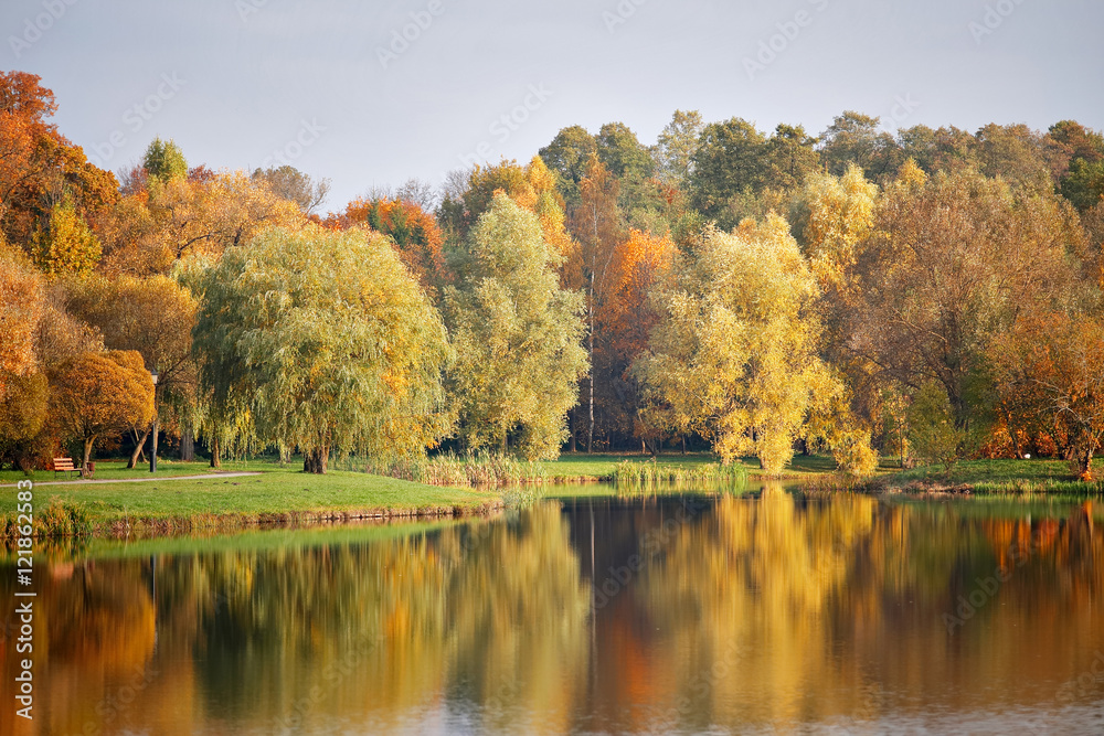 Fototapeta premium Autumn October colorful park. Foliage trees alley