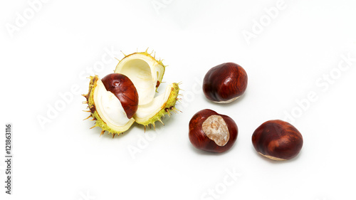 The fruits of the chestnut in the shell and cleared on a white background