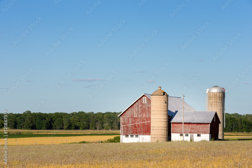 Family Farm Scene with Copy Space