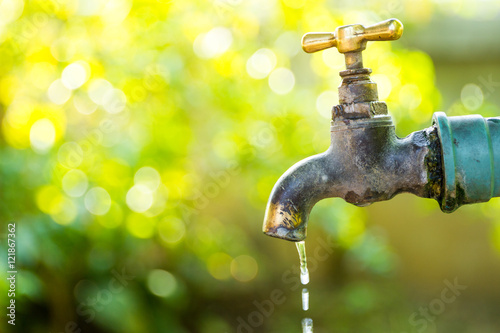 Fotografie, Obraz Brass water tap in nature background.