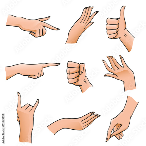 Set of Hands and Fingers in Different Positions and Gestures. Body Part angles deployed palm, fist, affirmative gesture for illustrations, design diagrams and instructions, isolated vector objects
