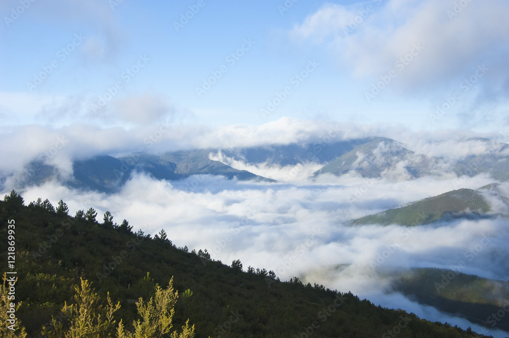 Nubes