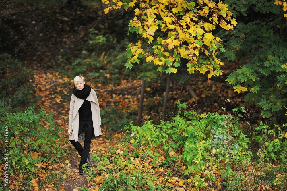 blonde girl walks on autumn park and touches hands with yellow leaves trees blonde girl walks on autumn park and touches hands with yellow leaves trees