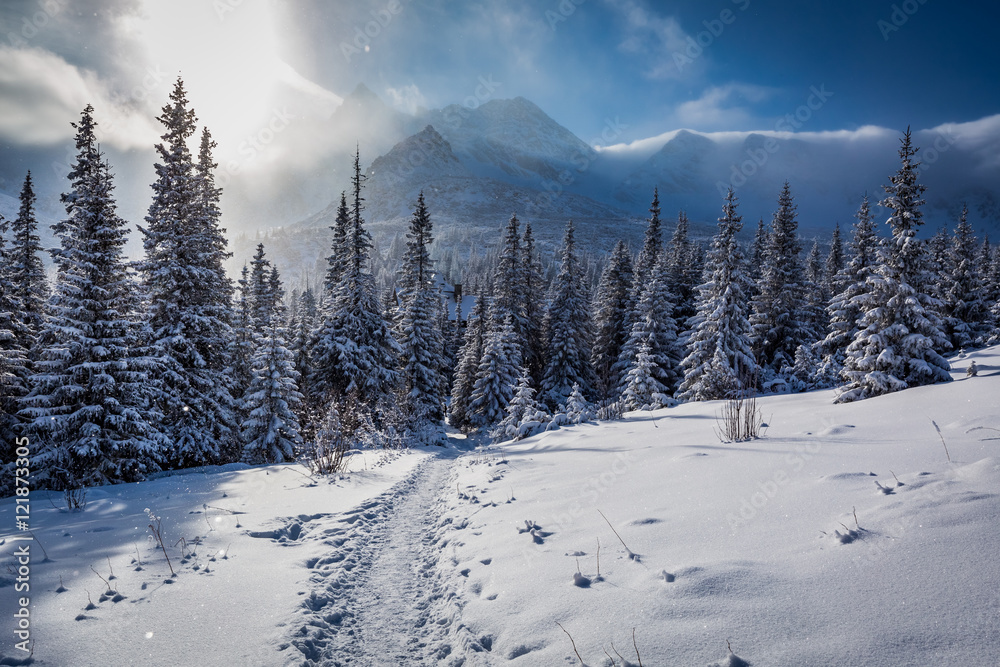 Enjoy your winter journey to Tatras Mountains in Poland