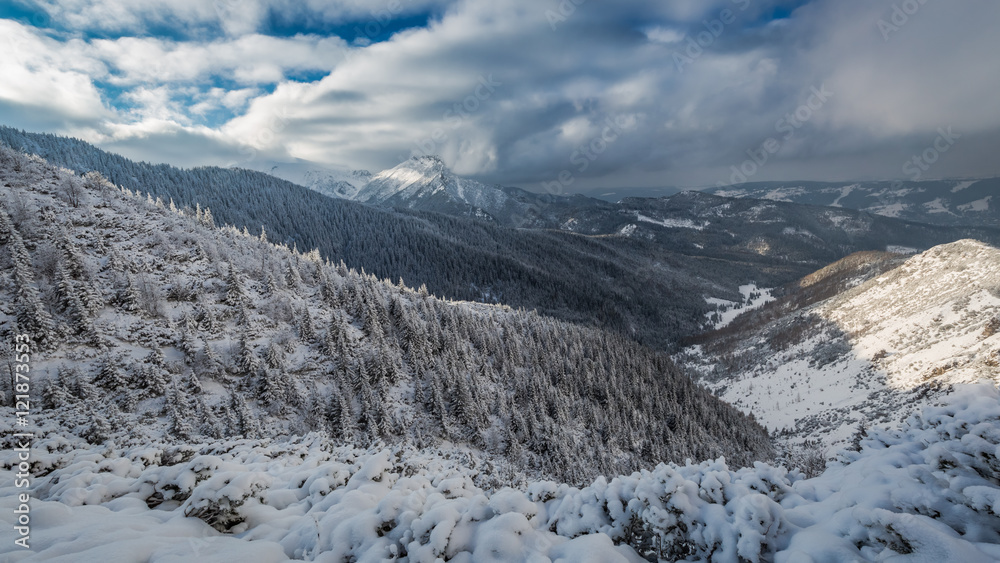 Winter trail to the valley gasienicowej at dawn, Tatra, Poland