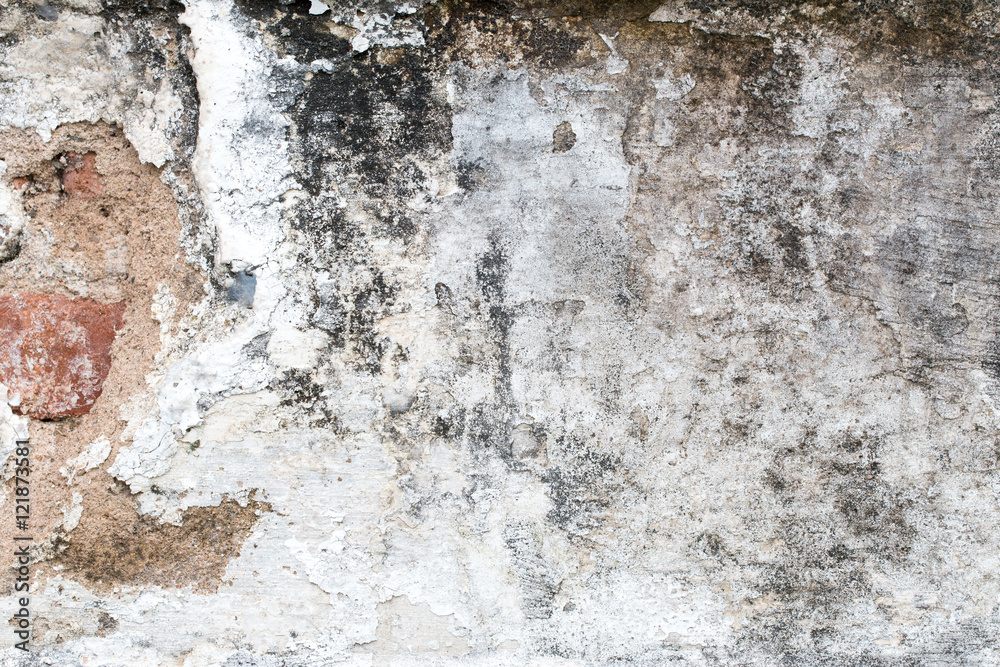Fototapeta premium white concrete wall texture