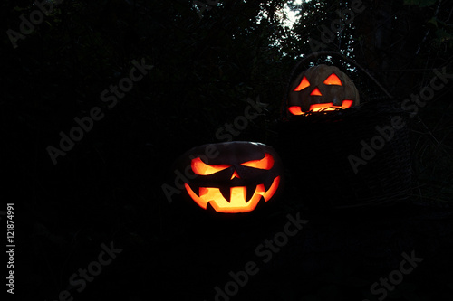 Halloween scary and funny pumpkins on a log in a basket in the d