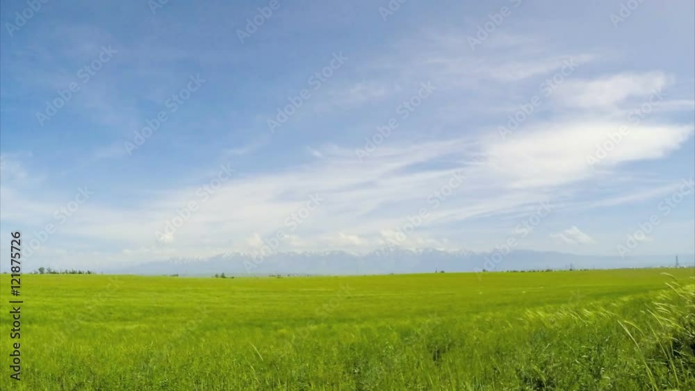 Field and mountains in the clouds