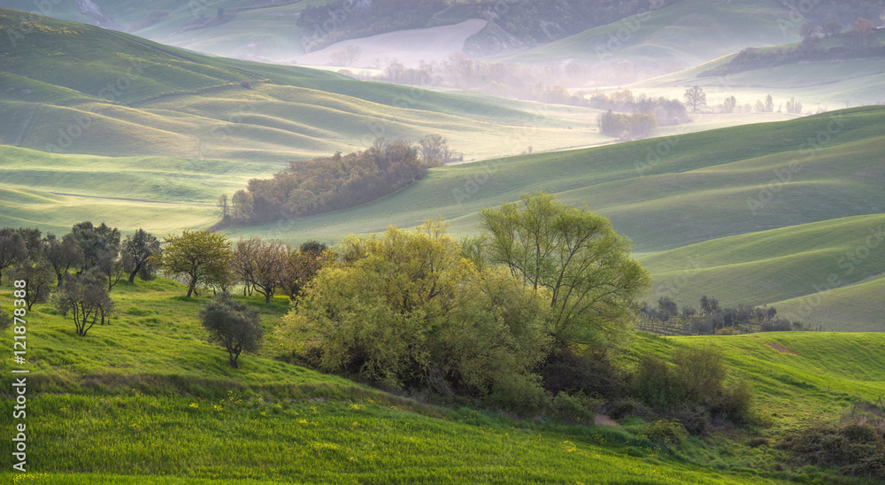 Foggy tuscan countryside