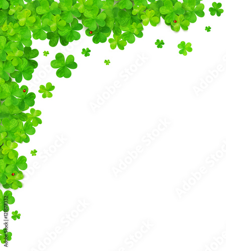 Green clovers vector corner frame element isolated on white