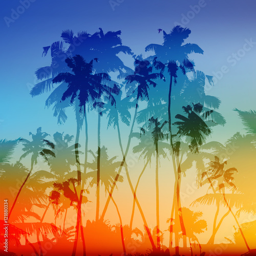 Fototapeta Naklejka Na Ścianę i Meble -  Vector palms silhouettes vector tropical sunset background