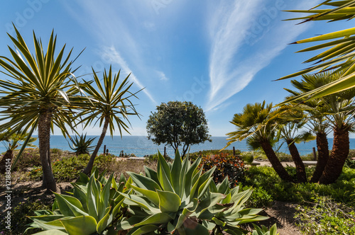 Encinitas Beach photo