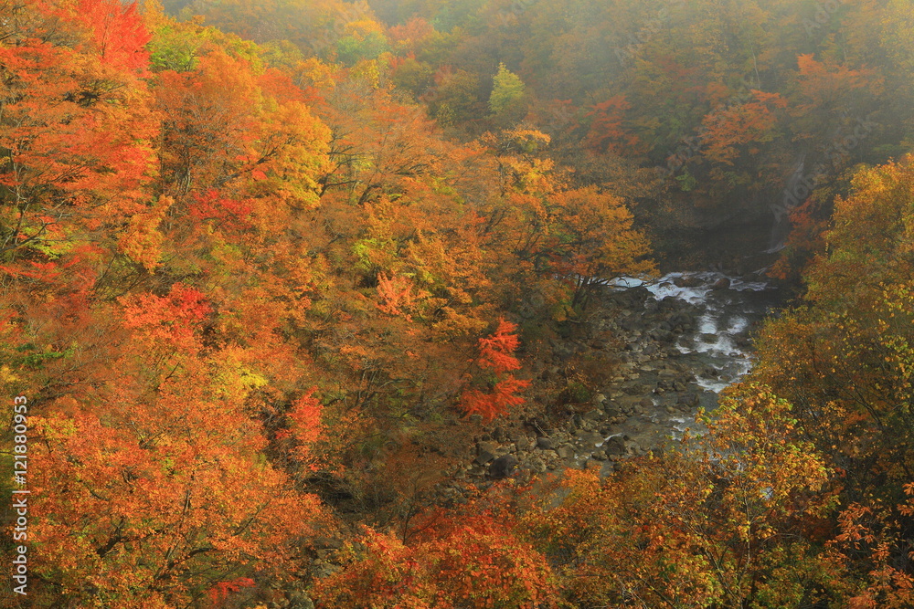 八幡平　紅葉の松川渓流
