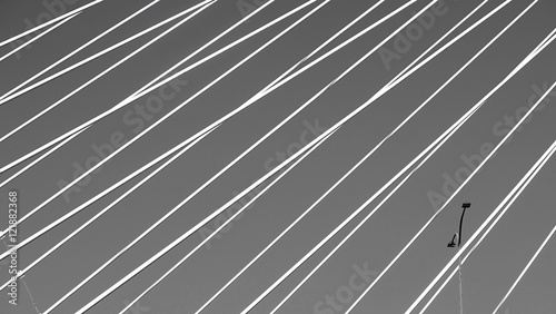 lines