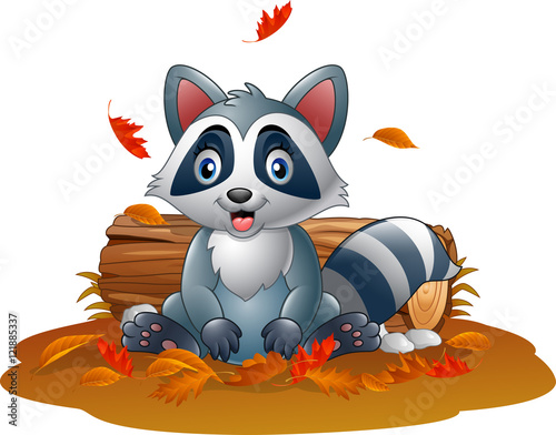 Cartoon raccoon in the autumn weather

