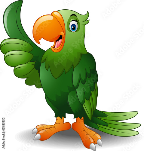 Cartoon happy parrot giving thumb up