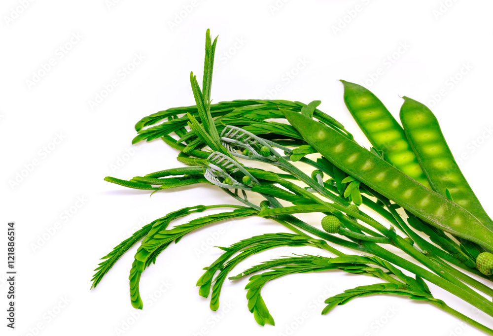 Katin vegetables isolated on white background.