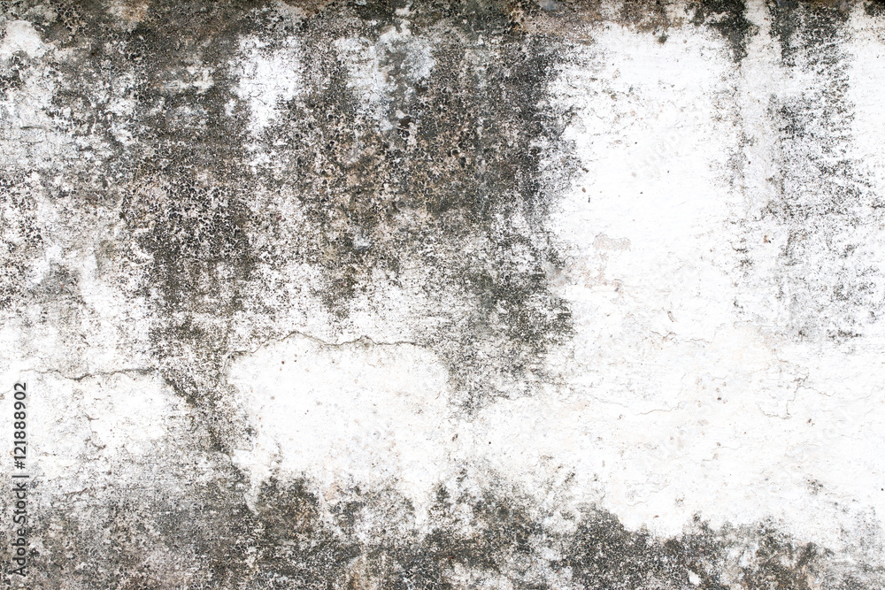 Fototapeta premium white concrete wall texture