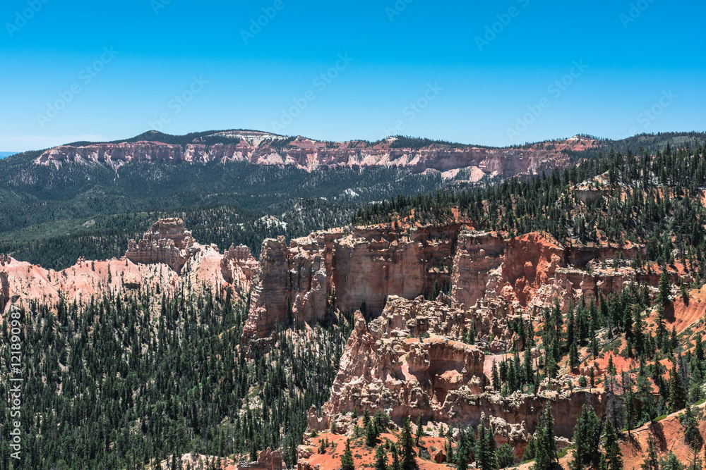 Hoodoos and forest in the Bryce Canyon Amphitheater, Utah 
