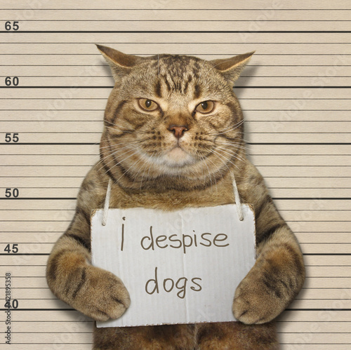 A bad cat despises all dogs. It is in a police station.