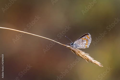 Equilibrio precario photo