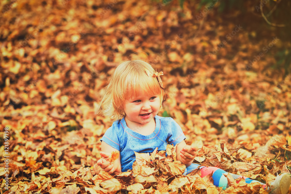 cute little girl playing with autumn fall leaves cute little girl playing with autumn fall leaves