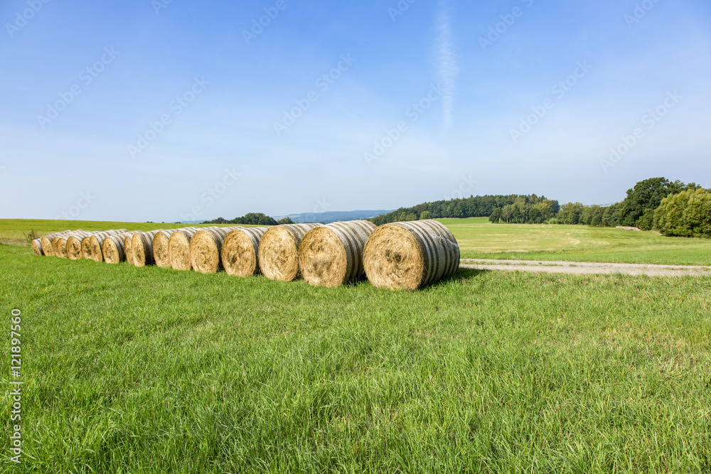 Cultivated Landscape with round bales