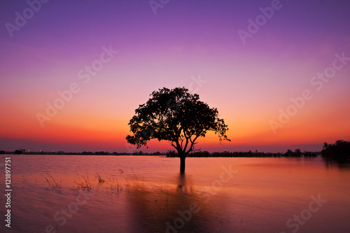 Twilight sunset sky reflect on the water with silhouette tree landscape