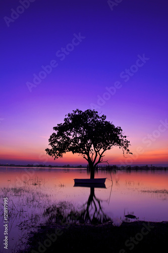 Silhouette twilight sunset sky with tree in water reflect landscape © Sync