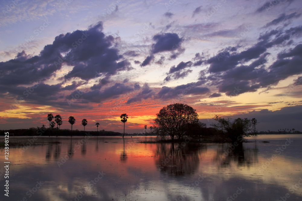 Silhouette twilight sunset sky reflect on the water with palm tree landscape Silhouette twilight sunset sky reflect on the water with palm tree landscape