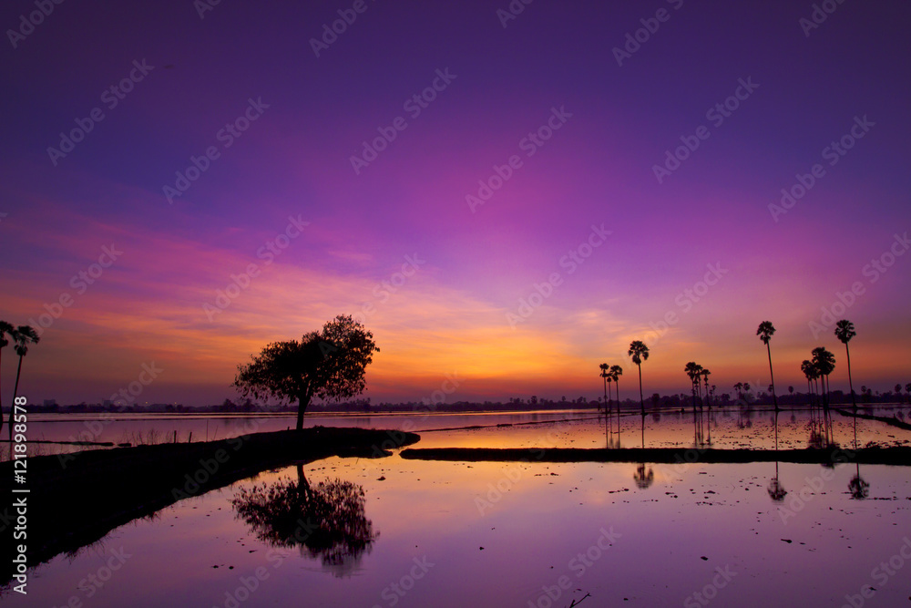 Silhouette twilight sunset sky reflect on the water with palm tree landscape
