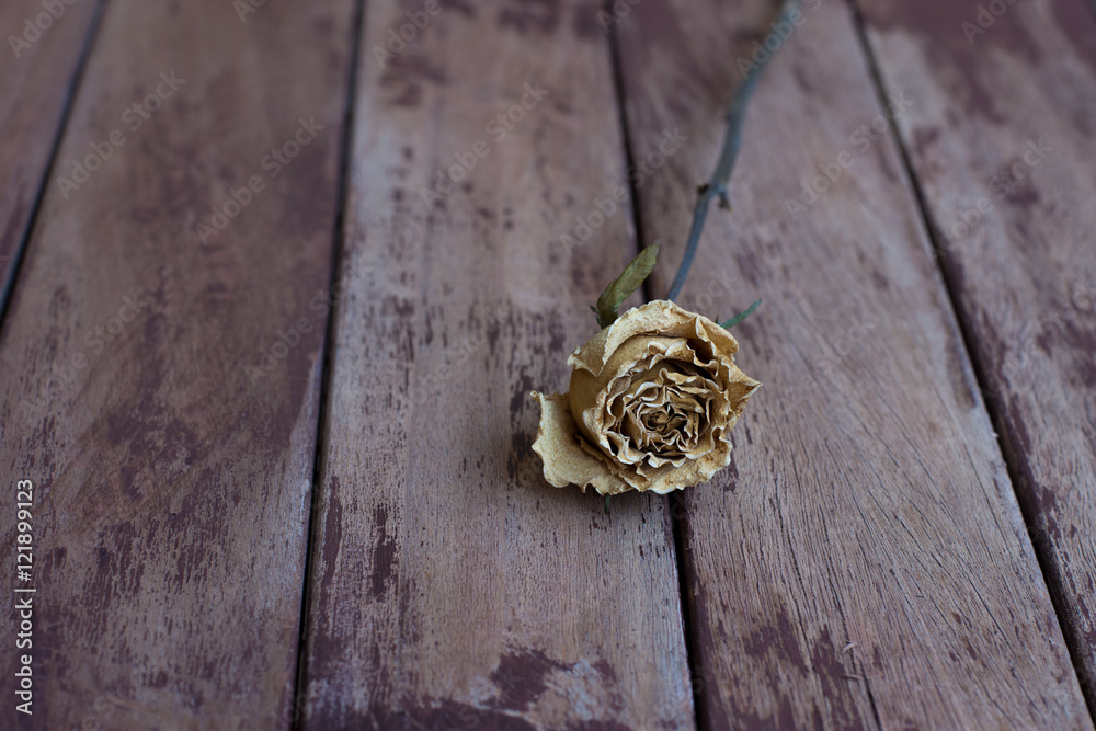 Dry white tea rose on a wood surface Dry white tea rose on a wood surface