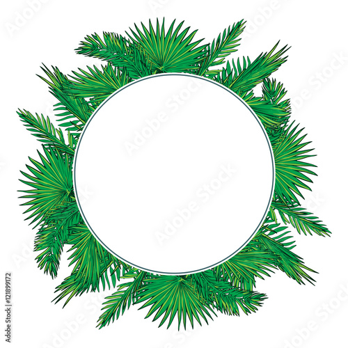 Palm leaves circle frame