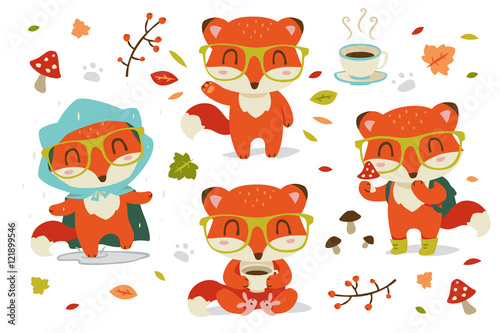vector autumn fox set